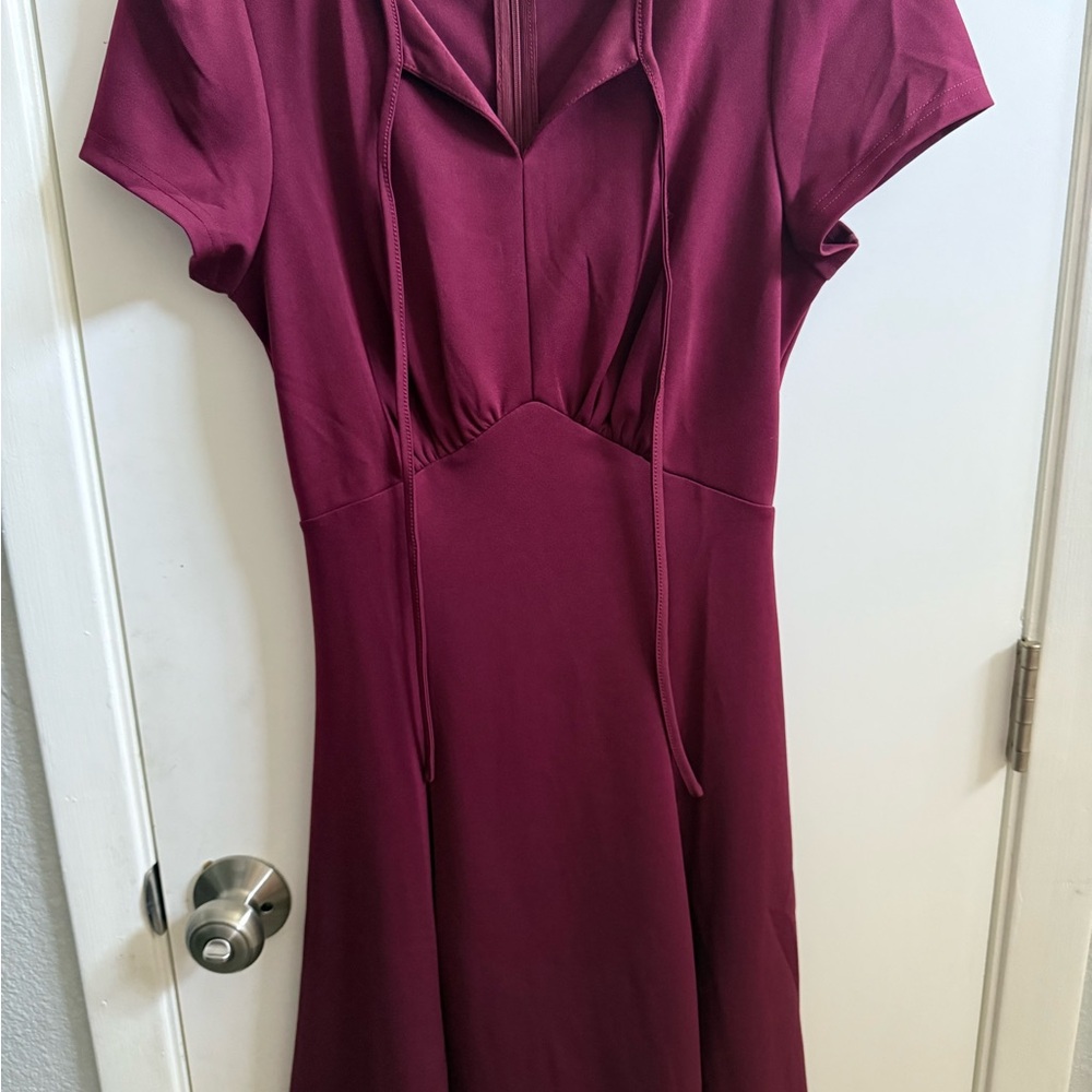 Elegant Burgundy Dress